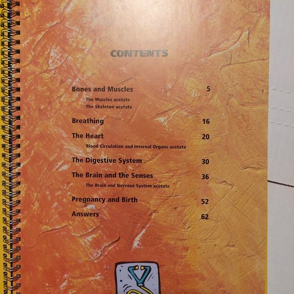 The Human Body Book - Picture 3 of 7